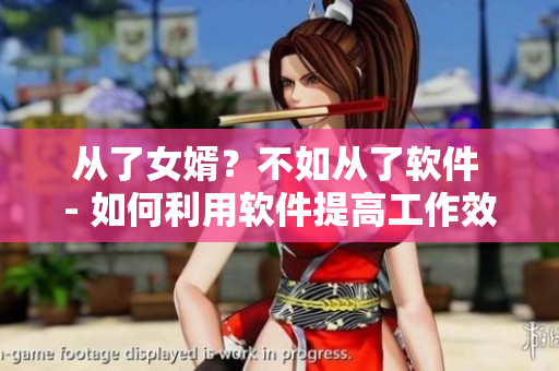 从了女婿？不如从了软件 - 如何利用软件提高工作效率。