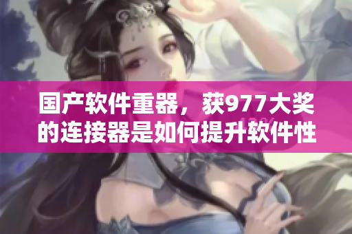 国产软件重器，获977大奖的连接器是如何提升软件性能的？