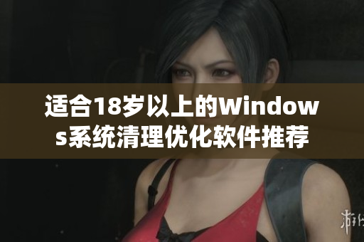 适合18岁以上的Windows系统清理优化软件推荐