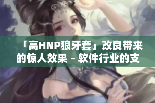 「高HNP狼牙套」改良带来的惊人效果 – 软件行业的支持者们快来看！