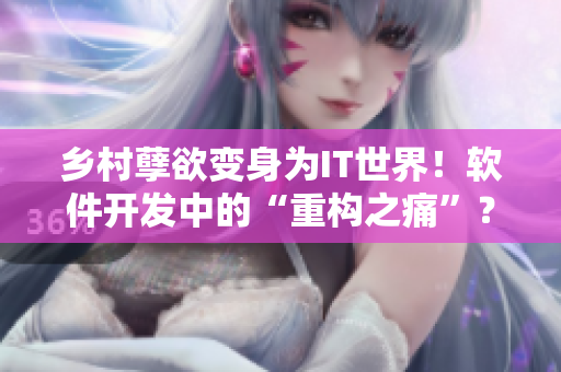 乡村孽欲变身为IT世界！软件开发中的“重构之痛”？！