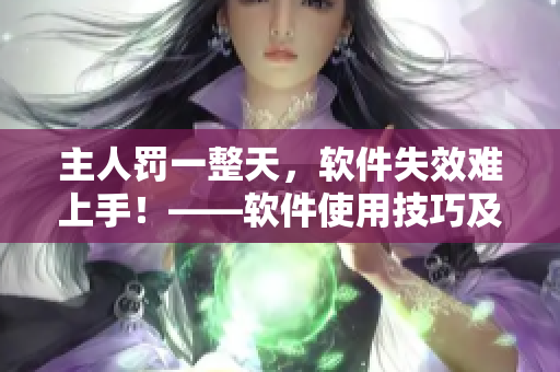 主人罚一整天，软件失效难上手！——软件使用技巧及常见问题解决方法
