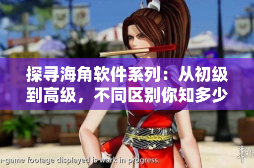 探寻海角软件系列：从初级到高级，不同区别你知多少？