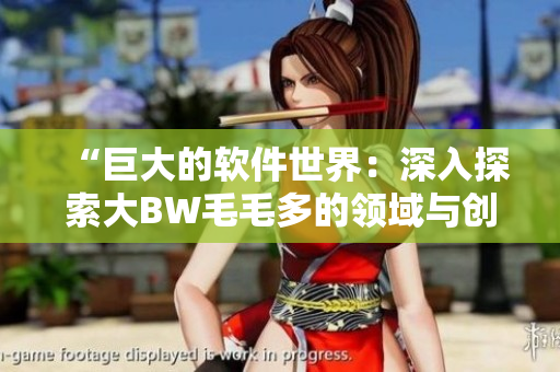 “巨大的软件世界：深入探索大BW毛毛多的领域与创新”