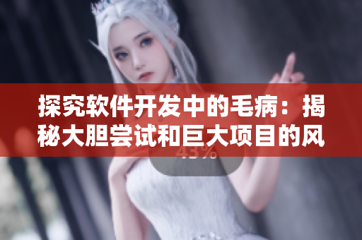 探究软件开发中的毛病：揭秘大胆尝试和巨大项目的风险