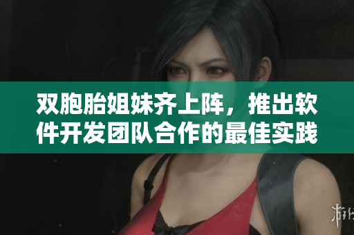 双胞胎姐妹齐上阵，推出软件开发团队合作的最佳实践