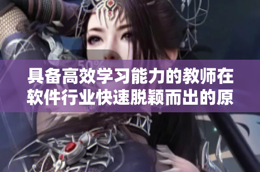 具备高效学习能力的教师在软件行业快速脱颖而出的原因