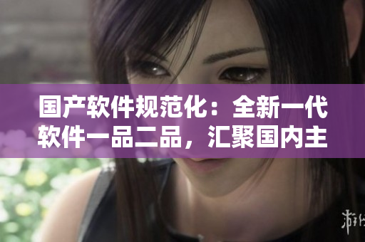 国产软件规范化：全新一代软件一品二品，汇聚国内主流在线服务