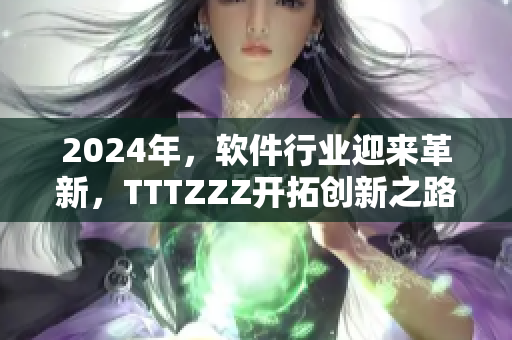 2024年，软件行业迎来革新，TTTZZZ开拓创新之路