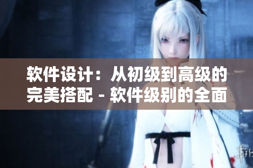软件设计：从初级到高级的完美搭配 - 软件级别的全面讲解