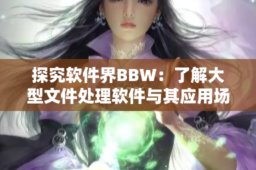探究软件界BBW：了解大型文件处理软件与其应用场景