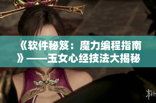 《软件秘笈：魔力编程指南》——玉女心经技法大揭秘！