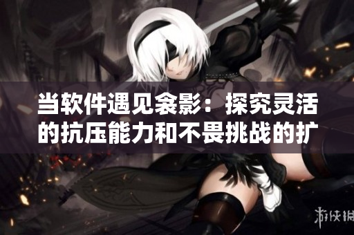 当软件遇见衾影：探究灵活的抗压能力和不畏挑战的扩展性