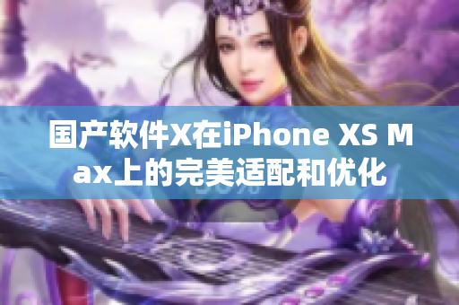 国产软件X在iPhone XS Max上的完美适配和优化
