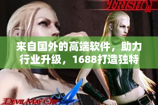 来自国外的高端软件，助力行业升级，1688打造独特营销模式