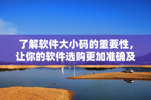 了解软件大小码的重要性，让你的软件选购更加准确及时！