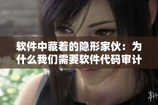 软件中藏着的隐形家伙：为什么我们需要软件代码审计？