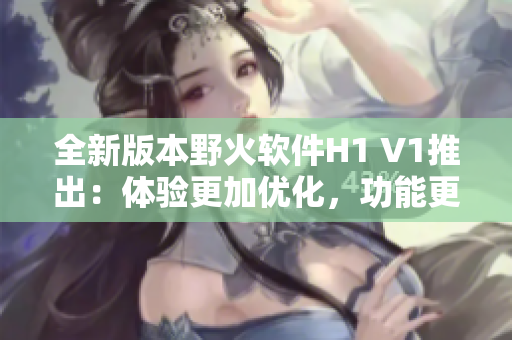 全新版本野火软件H1 V1推出：体验更加优化，功能更加强大