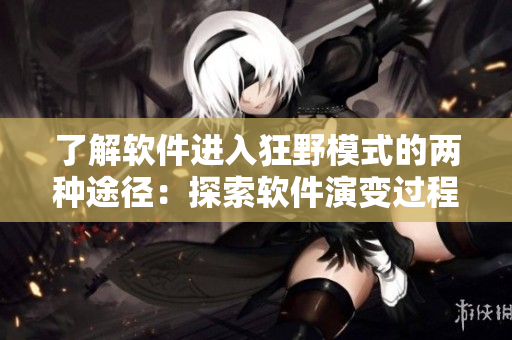 了解软件进入狂野模式的两种途径：探索软件演变过程与追求虚拟极限