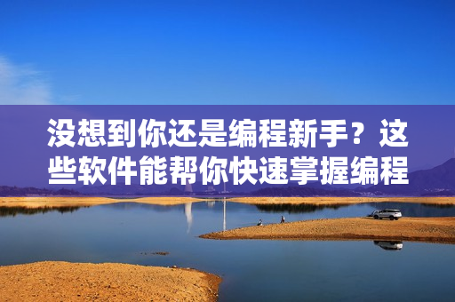 没想到你还是编程新手？这些软件能帮你快速掌握编程技能！