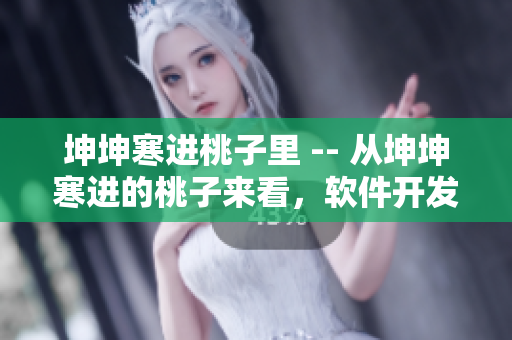 坤坤寒进桃子里 -- 从坤坤寒进的桃子来看，软件开发新趋势何在