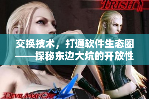 交换技术，打通软件生态圈——探秘东边大炕的开放性与互通性