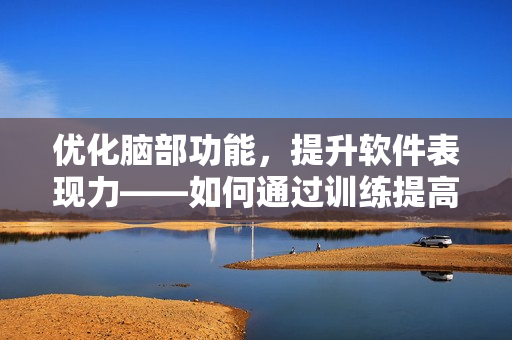 优化脑部功能，提升软件表现力——如何通过训练提高编程能力