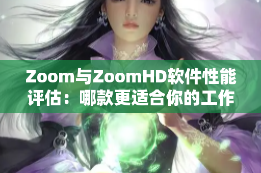 Zoom与ZoomHD软件性能评估：哪款更适合你的工作需求？