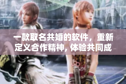 一款取名共婚的软件，重新定义合作精神, 体验共同成长