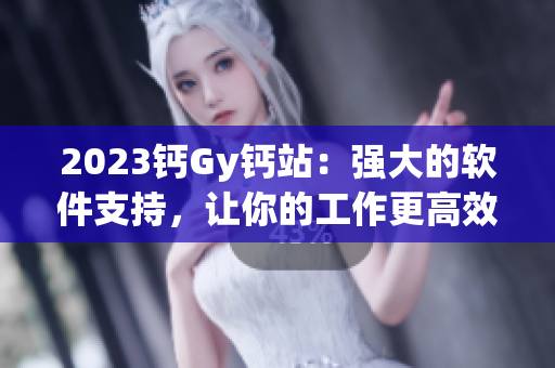 2023钙Gy钙站：强大的软件支持，让你的工作更高效