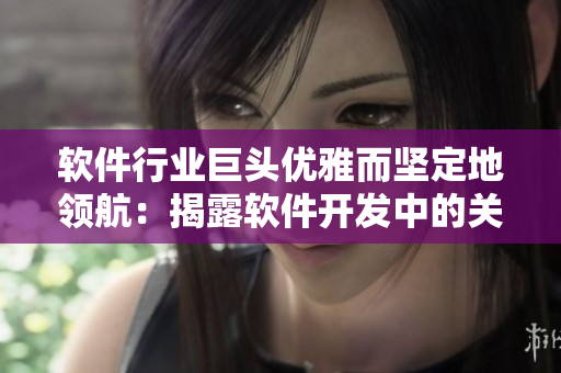 软件行业巨头优雅而坚定地领航：揭露软件开发中的关键问题和最佳实践。