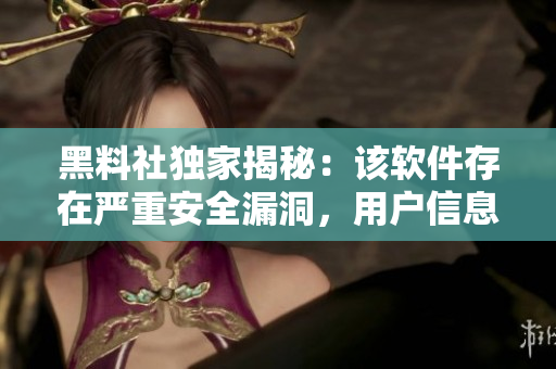 黑料社独家揭秘：该软件存在严重安全漏洞，用户信息面临巨大风险！