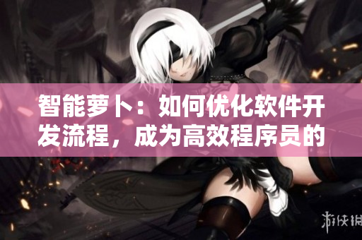 智能萝卜：如何优化软件开发流程，成为高效程序员的得力助手
