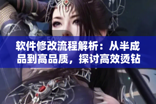 软件修改流程解析：从半成品到高品质，探讨高效烫钻磨砺
