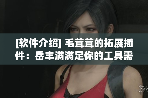 [软件介绍] 毛茸茸的拓展插件：岳丰满满足你的工具需求