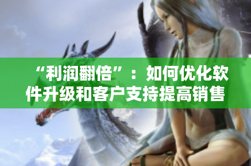“利润翻倍”：如何优化软件升级和客户支持提高销售额--跟编写相关