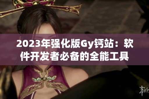 2023年强化版Gy钙站：软件开发者必备的全能工具