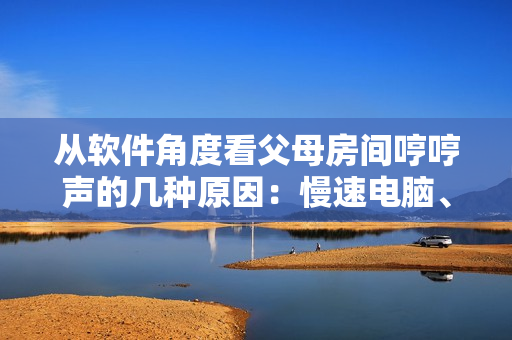 从软件角度看父母房间哼哼声的几种原因：慢速电脑、网络问题和软件故障