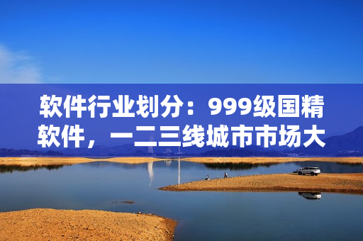 软件行业划分：999级国精软件，一二三线城市市场大调查