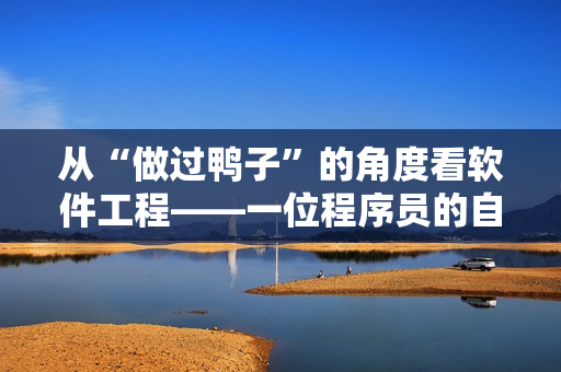 从“做过鸭子”的角度看软件工程——一位程序员的自白