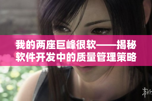 我的两座巨峰很软——揭秘软件开发中的质量管理策略
