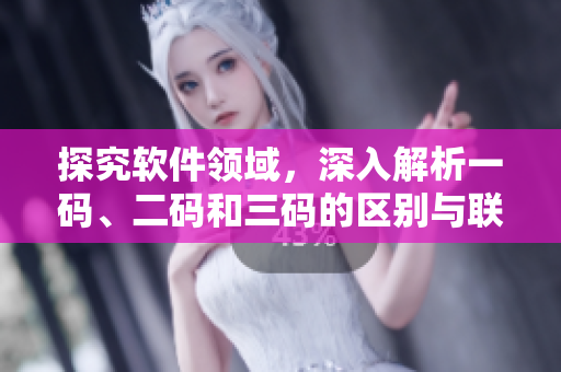 探究软件领域，深入解析一码、二码和三码的区别与联系