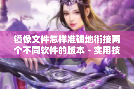 镜像文件怎样准确地衔接两个不同软件的版本 - 实用技巧分享