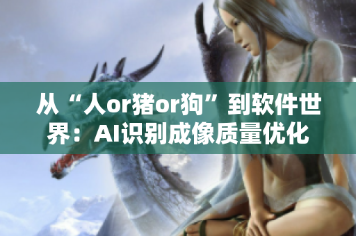 从“人or猪or狗”到软件世界：AI识别成像质量优化
