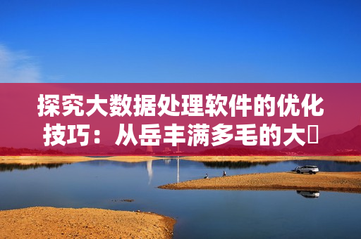 探究大数据处理软件的优化技巧：从岳丰满多毛的大隂户套路到高效算法