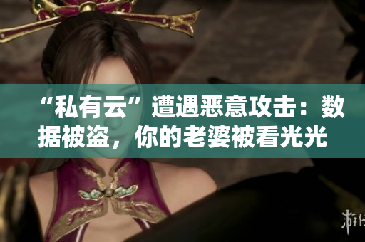 “私有云”遭遇恶意攻击：数据被盗，你的老婆被看光光！