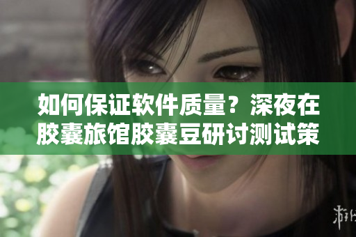 如何保证软件质量？深夜在胶囊旅馆胶囊豆研讨测试策略