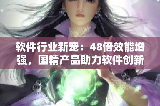 软件行业新宠：48倍效能增强，国精产品助力软件创新