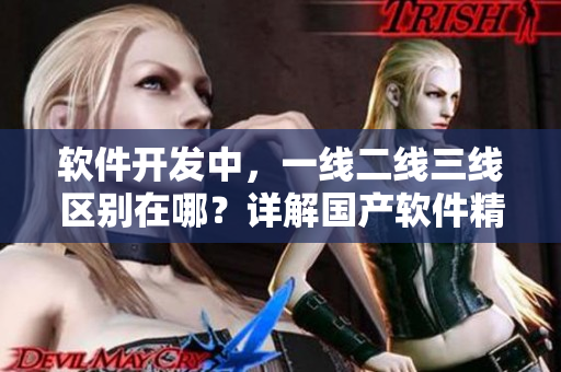 软件开发中，一线二线三线区别在哪？详解国产软件精华液的应用