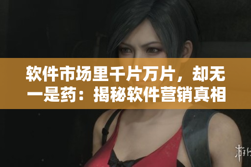 软件市场里千片万片，却无一是药：揭秘软件营销真相